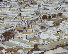 Maras, moray / salineras